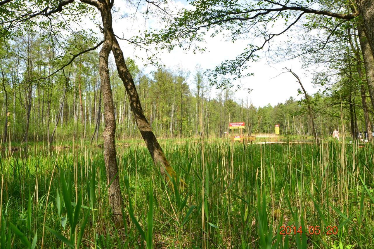 Osrodek Wypoczynkowo-Turystyczny Perla Krutyni Hotel Nowy Most Exterior foto